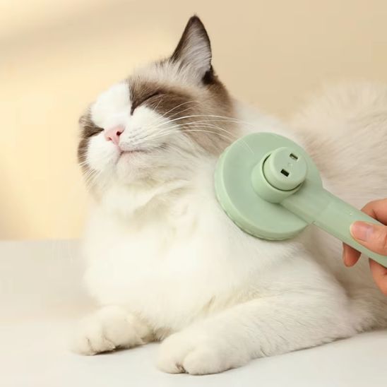 brosse chat | Antichute - Bien etre felin