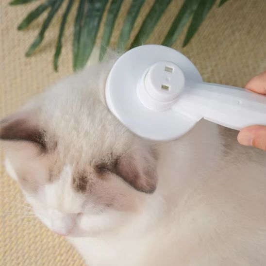 brosse chat | Antichute - Bien etre felin