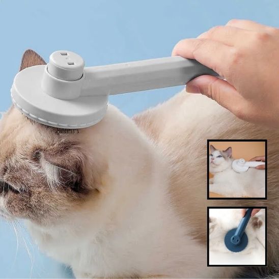 brosse chat | Antichute - Bien etre felin
