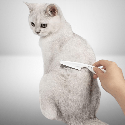 Brosse Chat - CatSheddingHairComb™ - Blanc - Bien etre felin