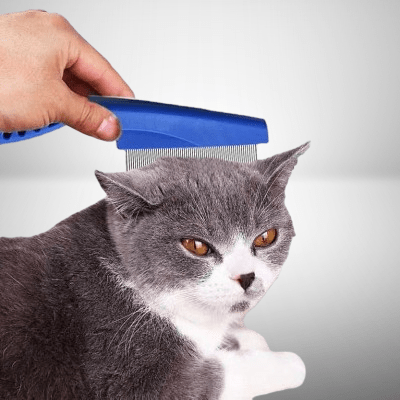 Brosse Chat - CatSheddingHairComb™ - Bleu - Bien etre felin