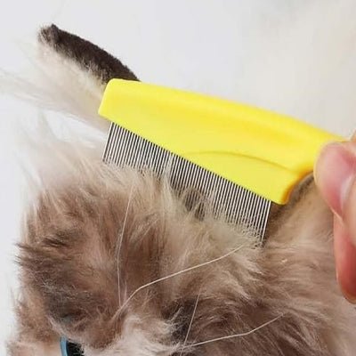 Brosse Chat - CatSheddingHairComb™ - Jaune - Bien etre felin