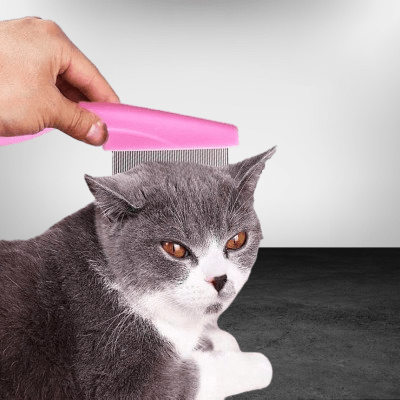 Brosse Chat - CatSheddingHairComb™ - Rose - Bien etre felin