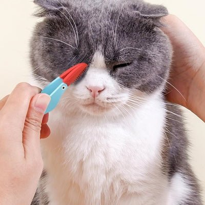 Brosse Pour Chat - CatEyeCleaningBrush™ - Bleu - Bien etre felin