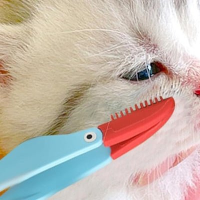 Brosse Pour Chat - CatEyeCleaningBrush™ - Bleu - Bien etre felin