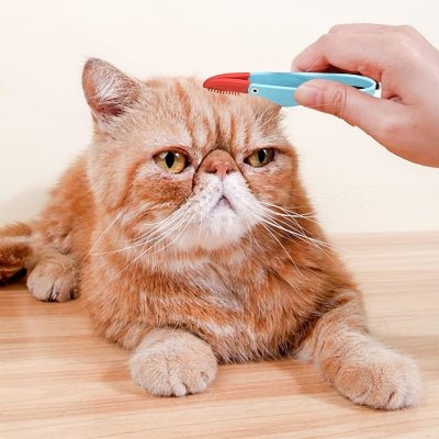 Brosse Pour Chat - CatEyeCleaningBrush™ - Bleu - Bien etre felin