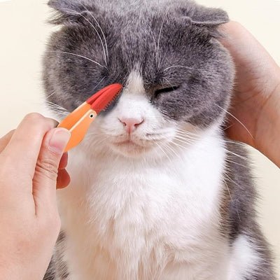 Brosse Pour Chat - CatEyeCleaningBrush™ - Orange - Bien etre felin