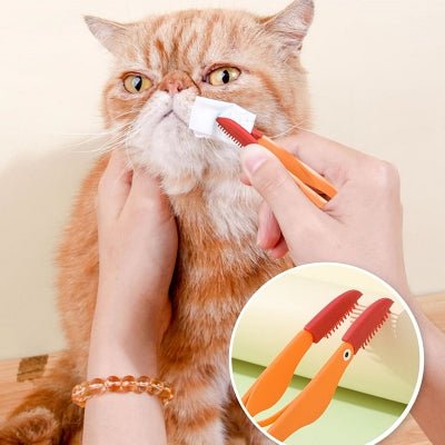 Brosse Pour Chat - CatEyeCleaningBrush™ - Orange - Bien etre felin