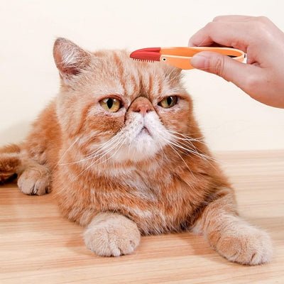 Brosse Pour Chat - CatEyeCleaningBrush™ - Orange - Bien etre felin