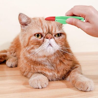 Brosse Pour Chat - CatEyeCleaningBrush™ - Vert - Bien etre felin