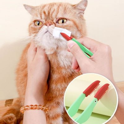 Brosse Pour Chat - CatEyeCleaningBrush™ - Vert - Bien etre felin