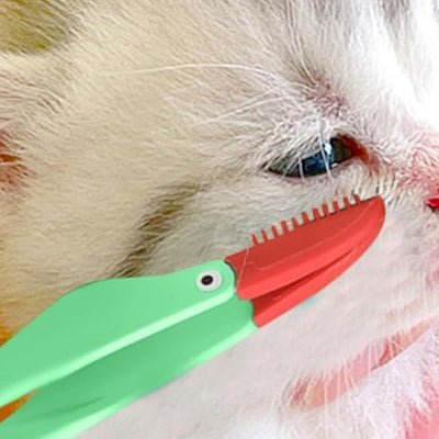 Brosse Pour Chat - CatEyeCleaningBrush™ - Vert - Bien etre felin