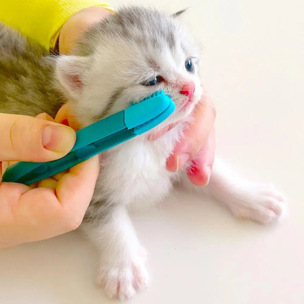 Brosse pour Chat - CatEyeWipe™ - Bleu - Bien etre felin