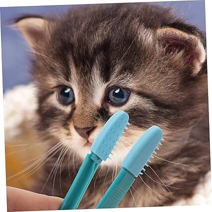 Brosse pour Chat - CatEyeWipe™ - Bleu - Bien etre felin