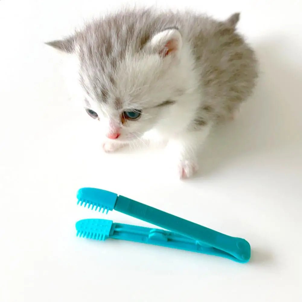 Brosse pour Chat - CatEyeWipe™ - Bleu - Bien etre felin