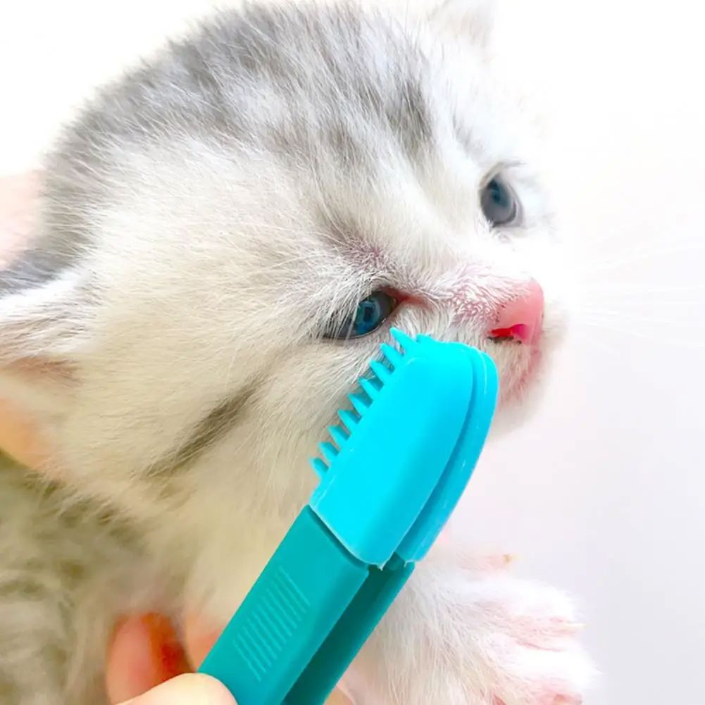 Brosse pour Chat - CatEyeWipe™ - Bleu - Bien etre felin