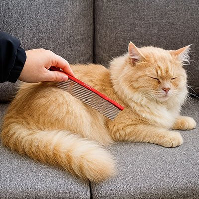 Peigne pour chat | DémêlDoux