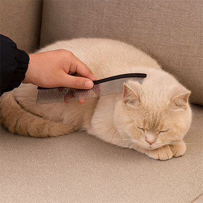 Peigne pour chat | DémêlDoux