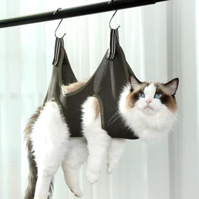 Toilettage Chat - GroomHamac™ - Gris - Bien etre felin