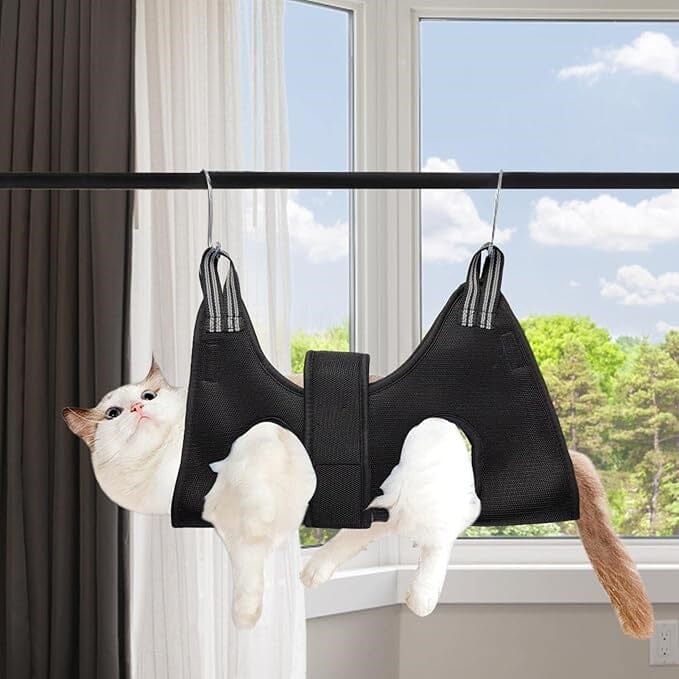 Toilettage Chat - GroomHamac™ - Noir - Bien etre felin