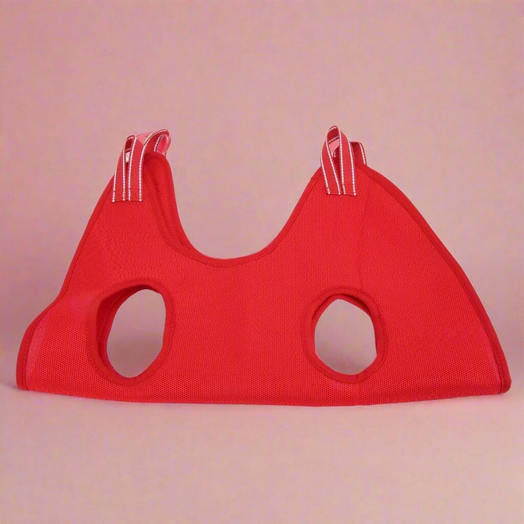 Toilettage Chat - GroomHamac™ - Rouge - Bien etre felin