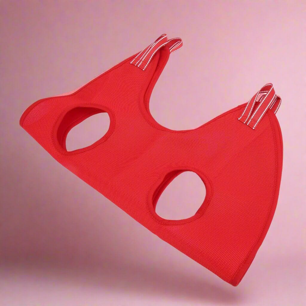 Toilettage Chat - GroomHamac™ - Rouge - Bien etre felin