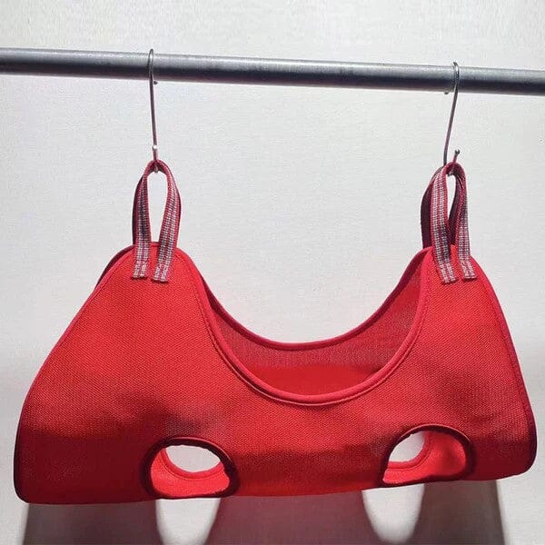 Toilettage Chat - GroomHamac™ - Rouge - Bien etre felin
