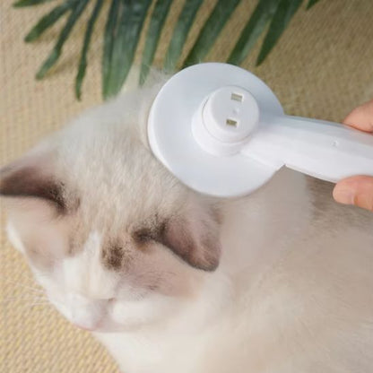 brosse chat | Antichute - Bien etre felin