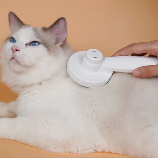 brosse chat | Antichute - Bien etre felin