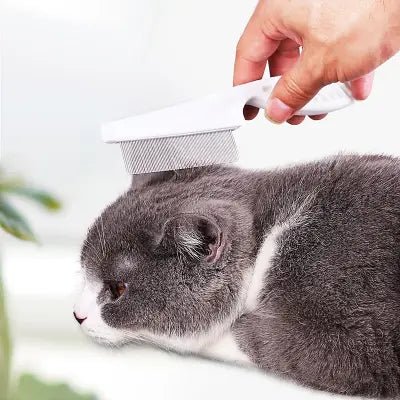 Brosse Chat - CatSheddingHairComb™ - Blanc - Bien etre felin